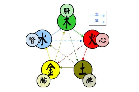 五行數|五行（对万事万物的取象比类）